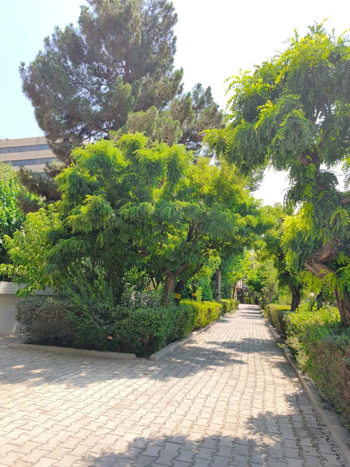 اکباتان سخوابه و ۴خوابه فروش یا معاوضه