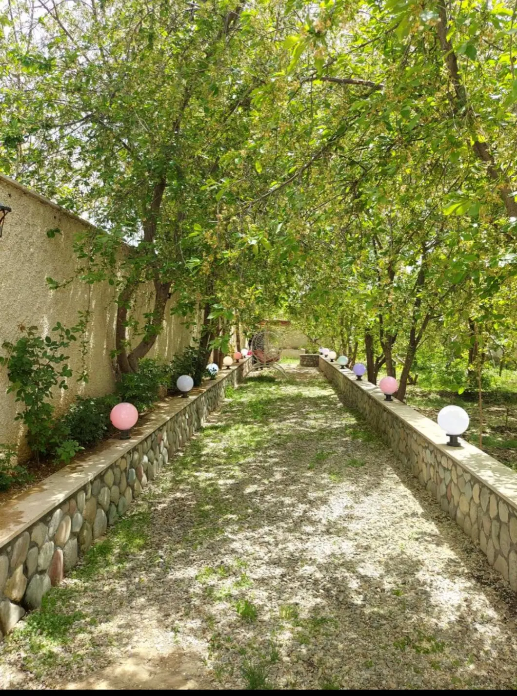 باغچه ۵۰۷ متری