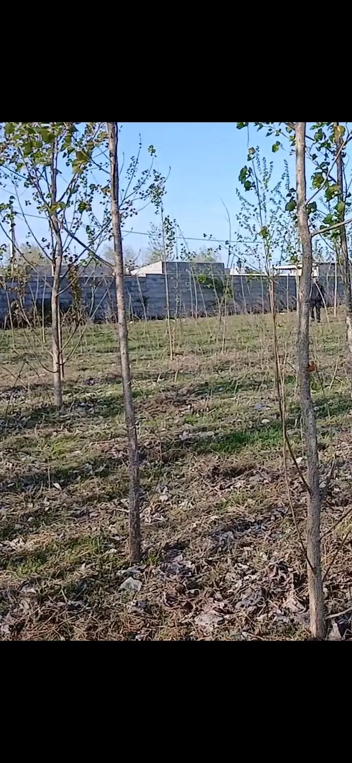 فروش زمین در منطقه چاف چمخاله