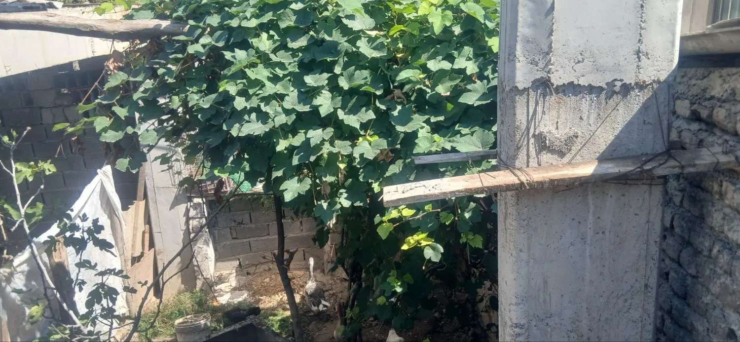 خانه ویلایی دوطبقه