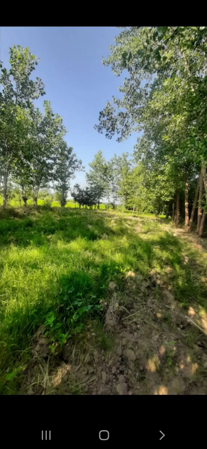 زمین فروشی شمال ۶۰۰۰متر جای بکر و زیبا