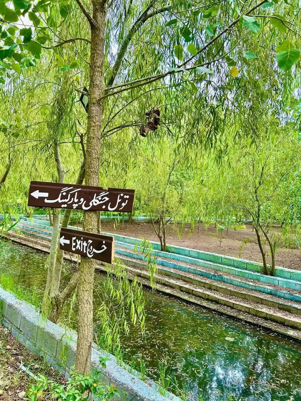 یک تماس_ آغاز یک زندگی متفاوت