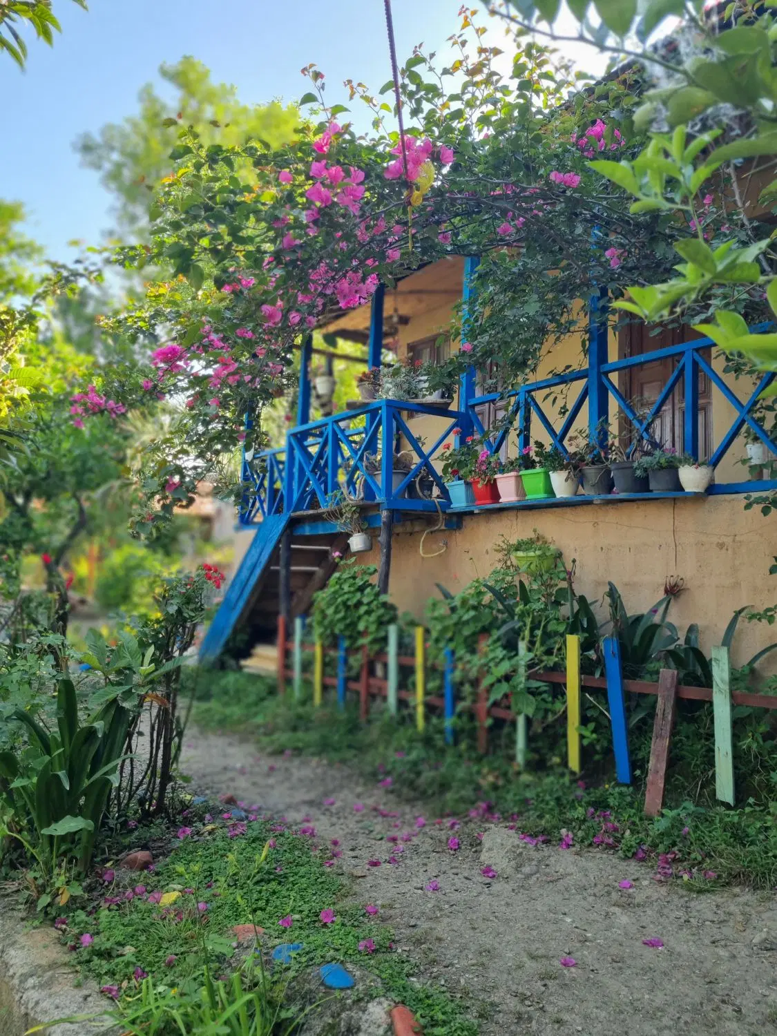 اقامتگاه بومگردی