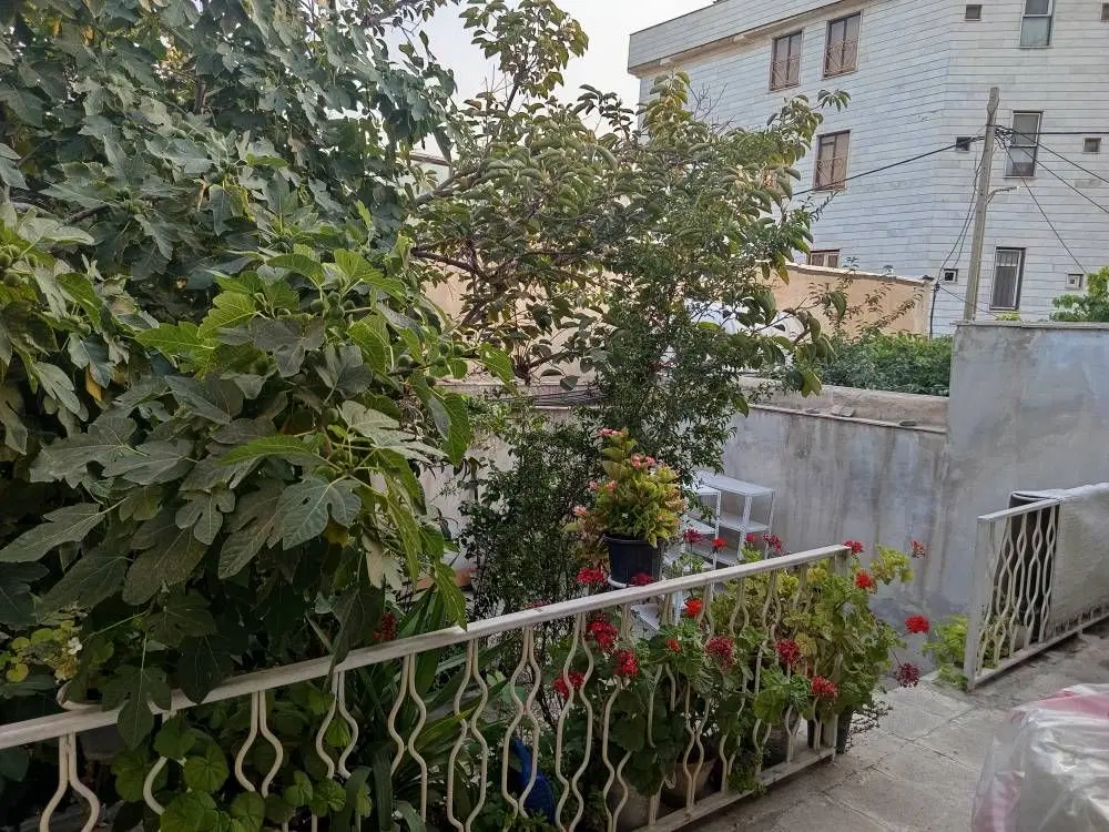 اجاره ویلایی دربست