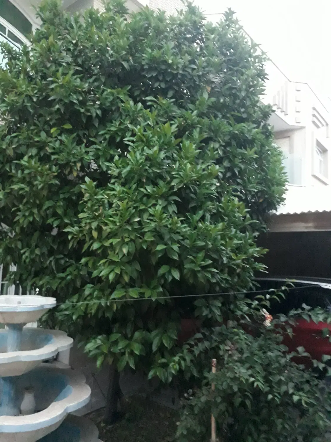 زمین قابل ساخت