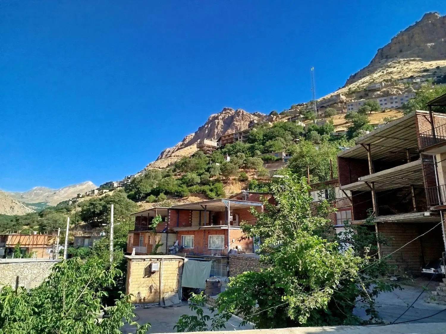 سویت اجاره روزانه