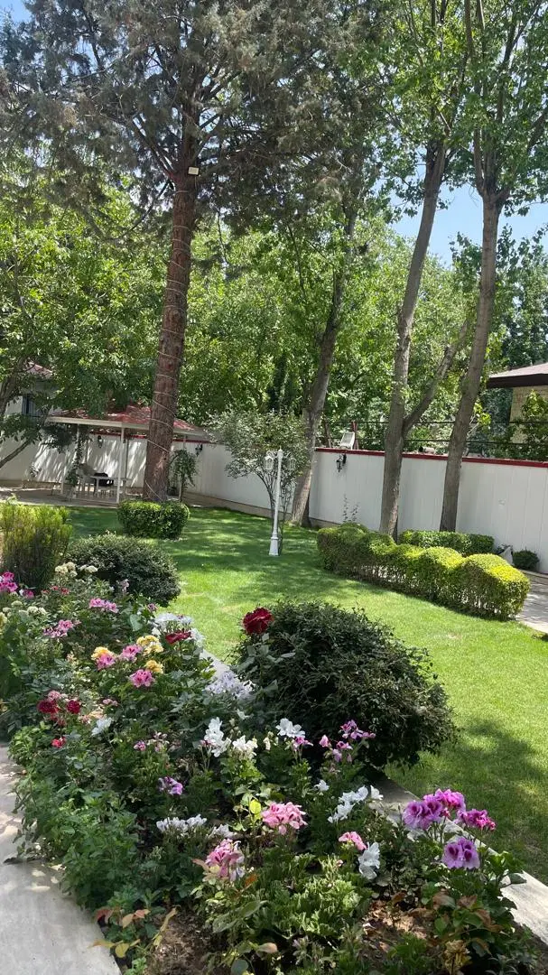 زمین لواسان ۳۵۰متر اکازیون