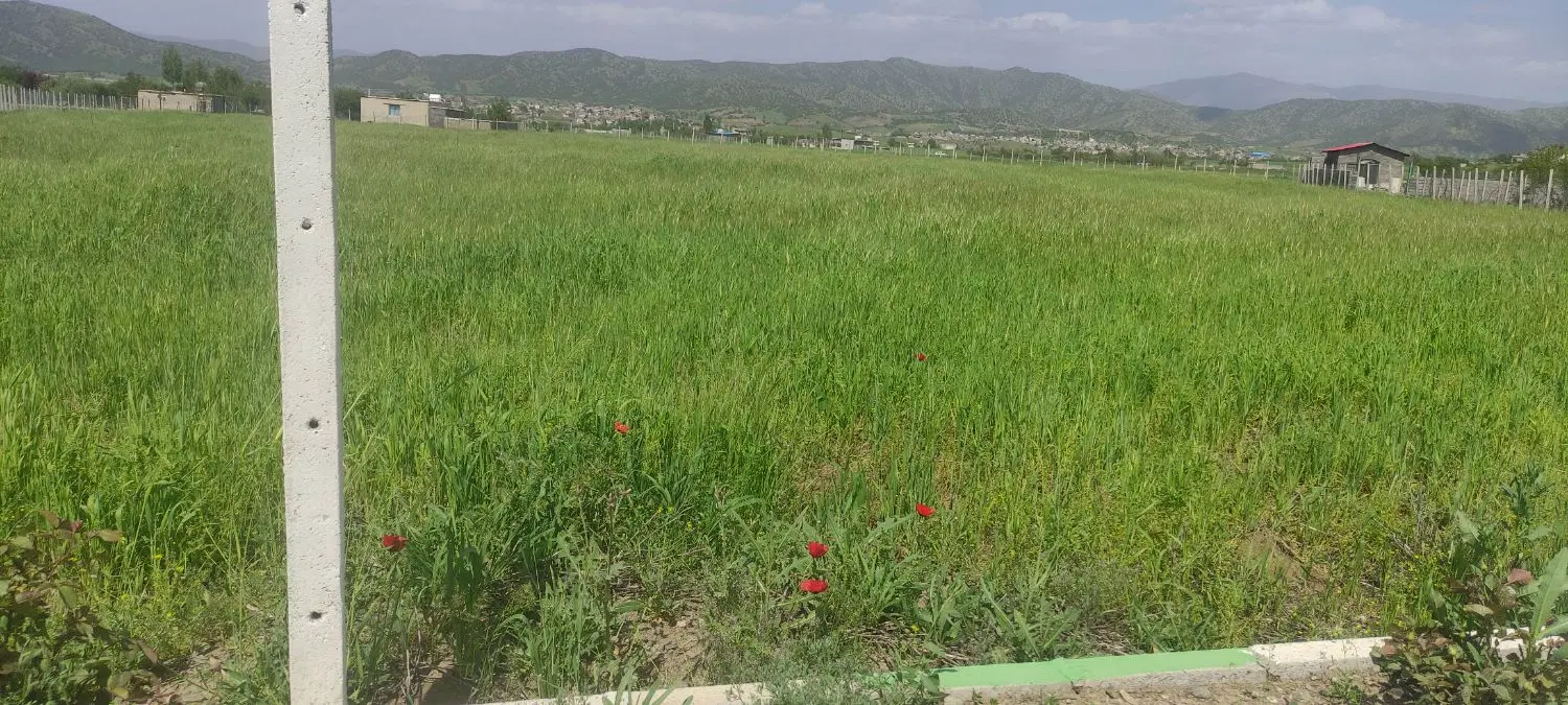 ۲۰۰۰مترزمین بین ریخلان وکال