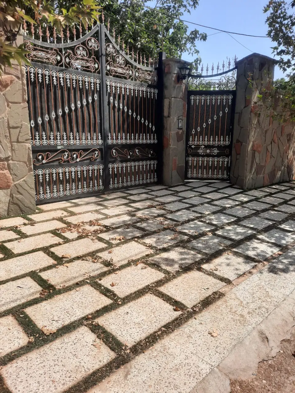 باغ میوه