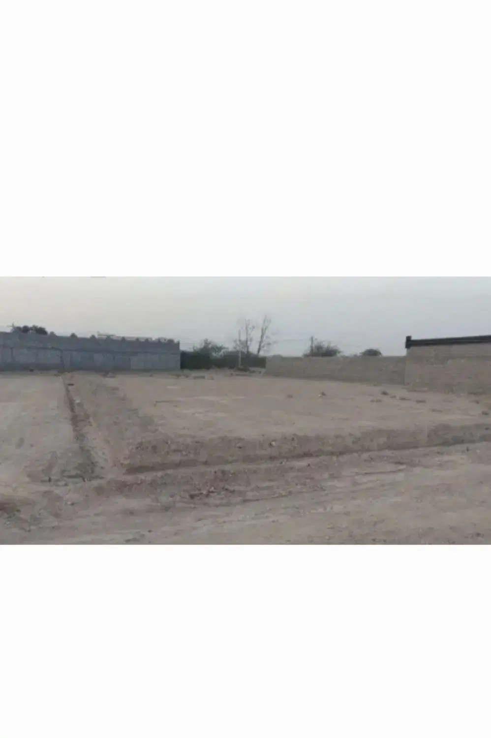زمین تازیان