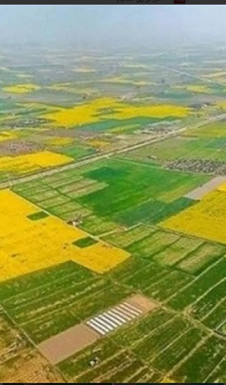 زمین زراعی