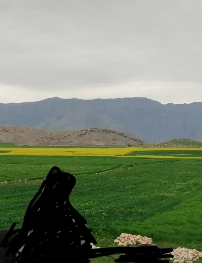 زمین مسکونی راسفند
