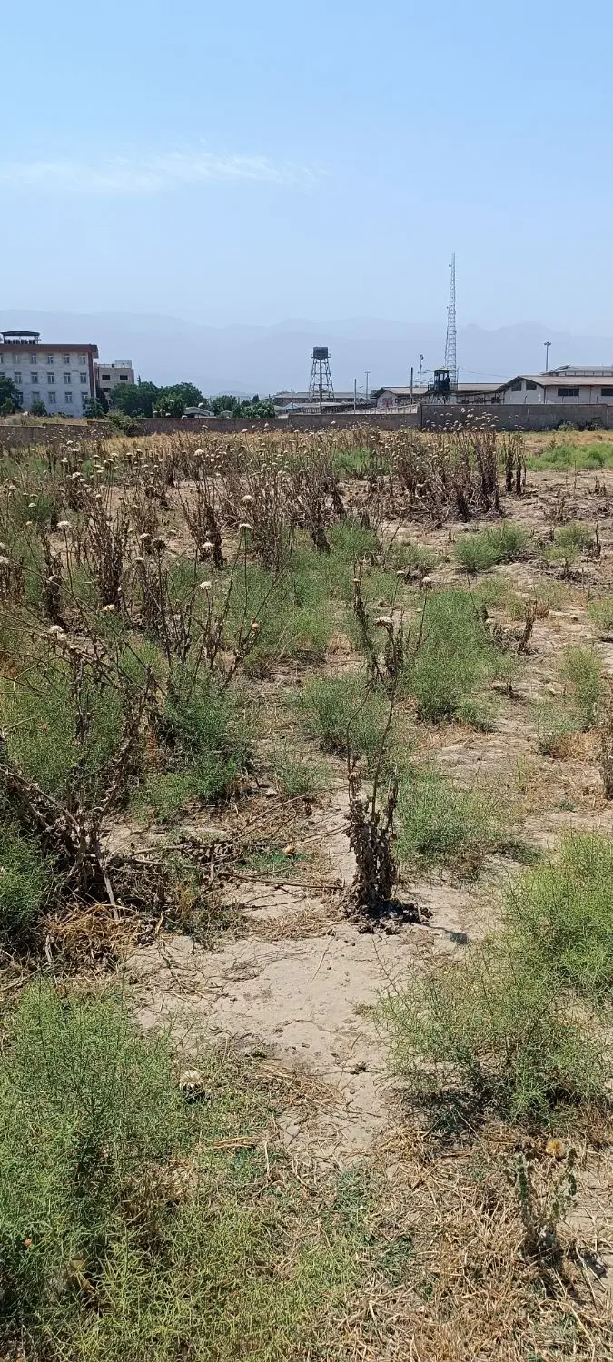 ۳۰۰متر زمین پشت دانشگاه آزاد