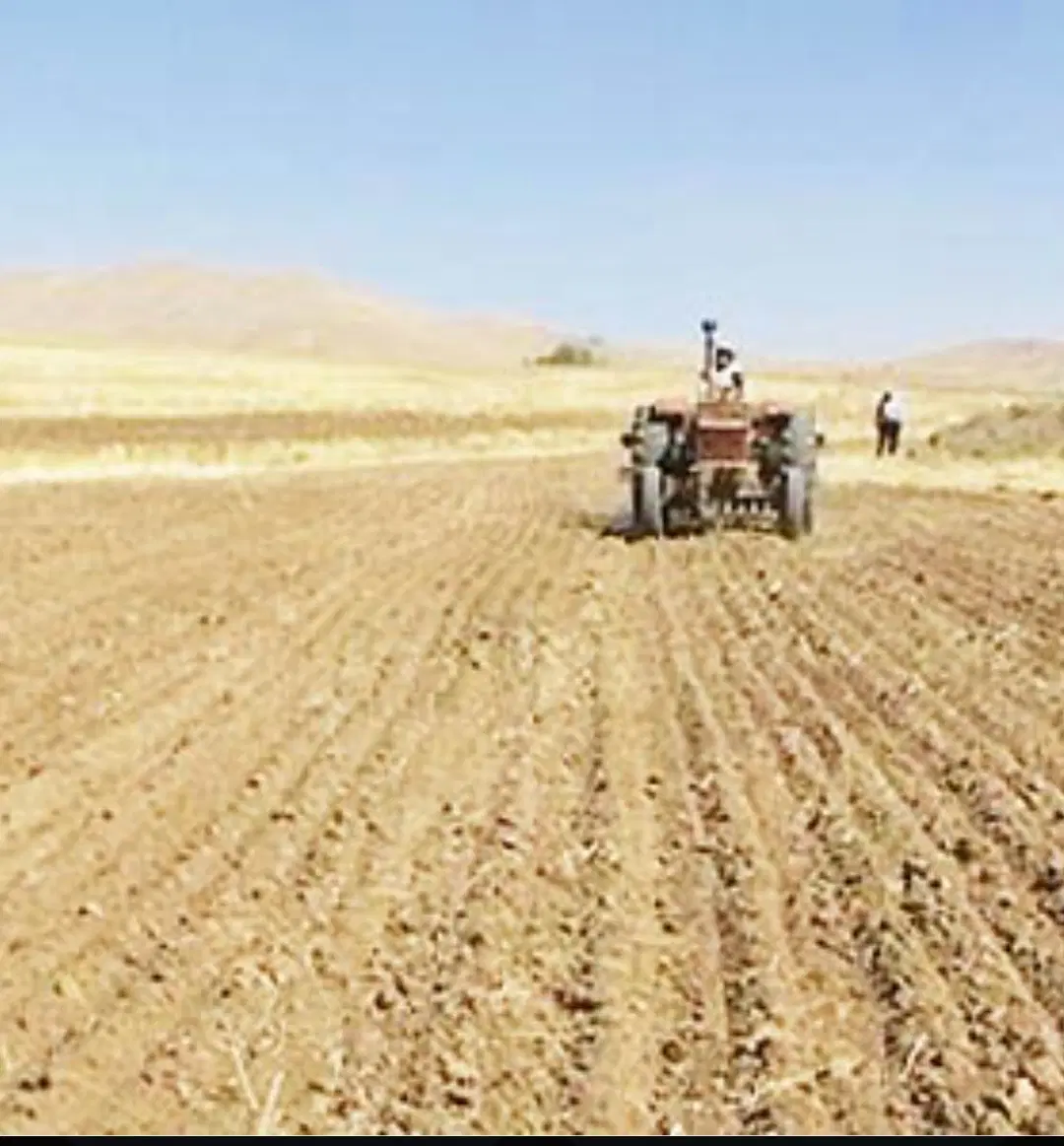 اجازه زمین کشاورزی دیمی امسال شخم بود