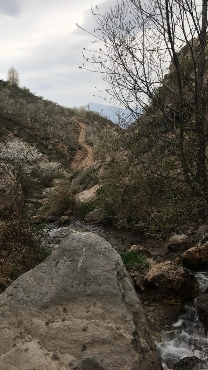 زمین باغ