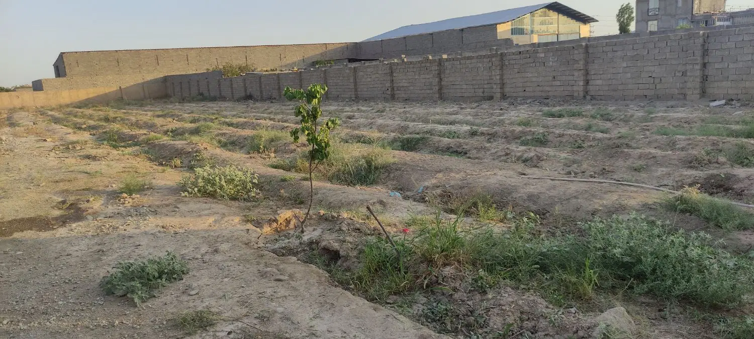 زمین فردوسیه