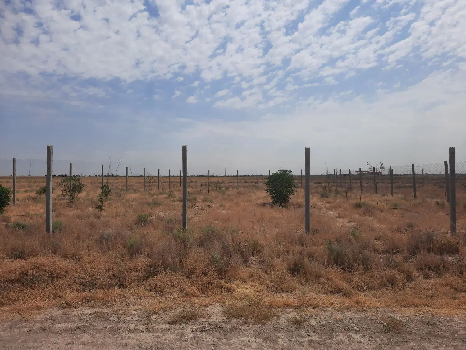 زمین برای باغچه دارای سهم آب