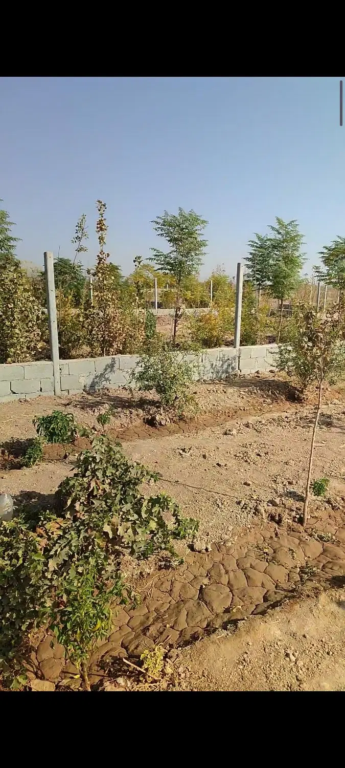 فروش باغ و باغچه
