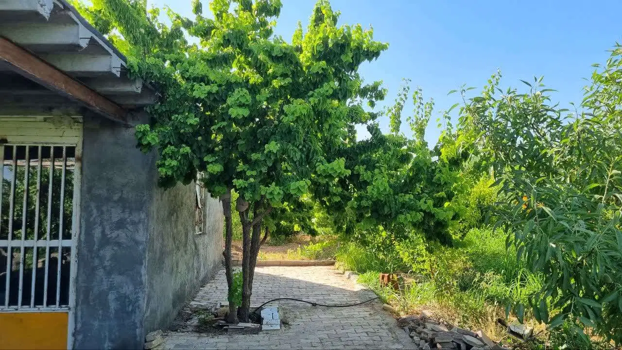 فروش باغ شوراب صغیر سامان