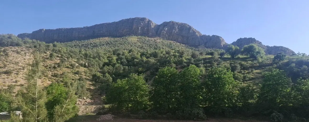 ویلا باغ کنار رودخانه باطبیعت سرسبز