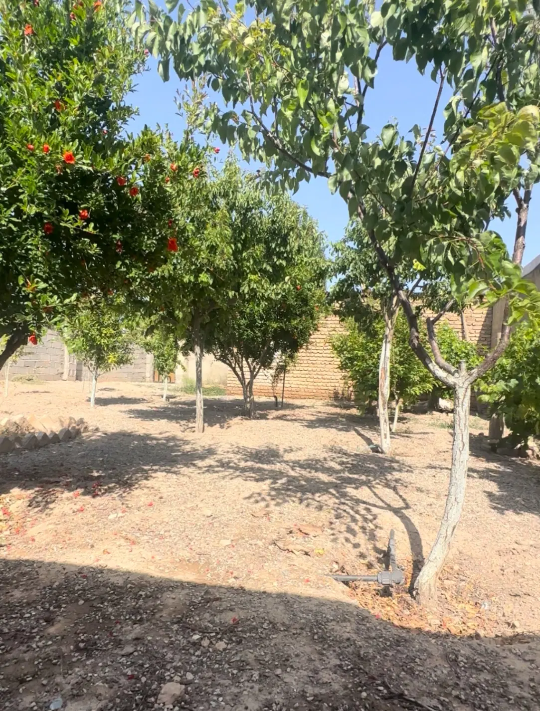 زمین مسکونی حسین اباد ( ۲۰۰ تا ۳۰۰۰ m)