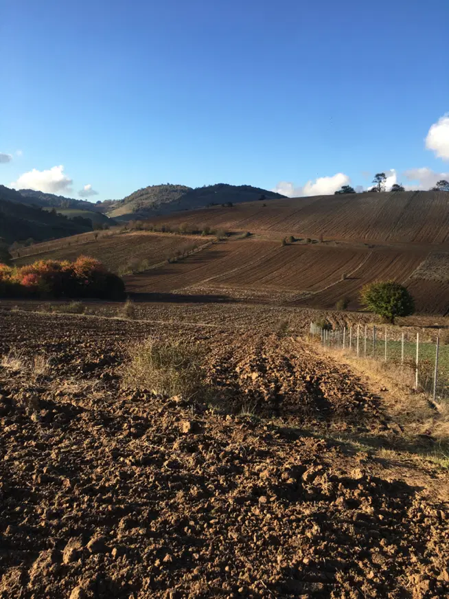 فروش زمین کشاورزی روستای دودانگه ساری