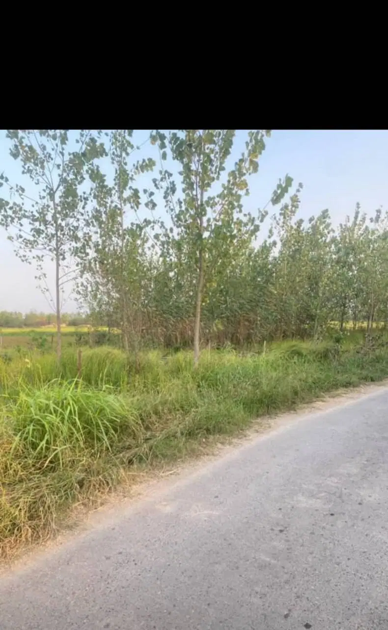 زمین باغی فروش فوری زمین باغی داخل طرح هادی