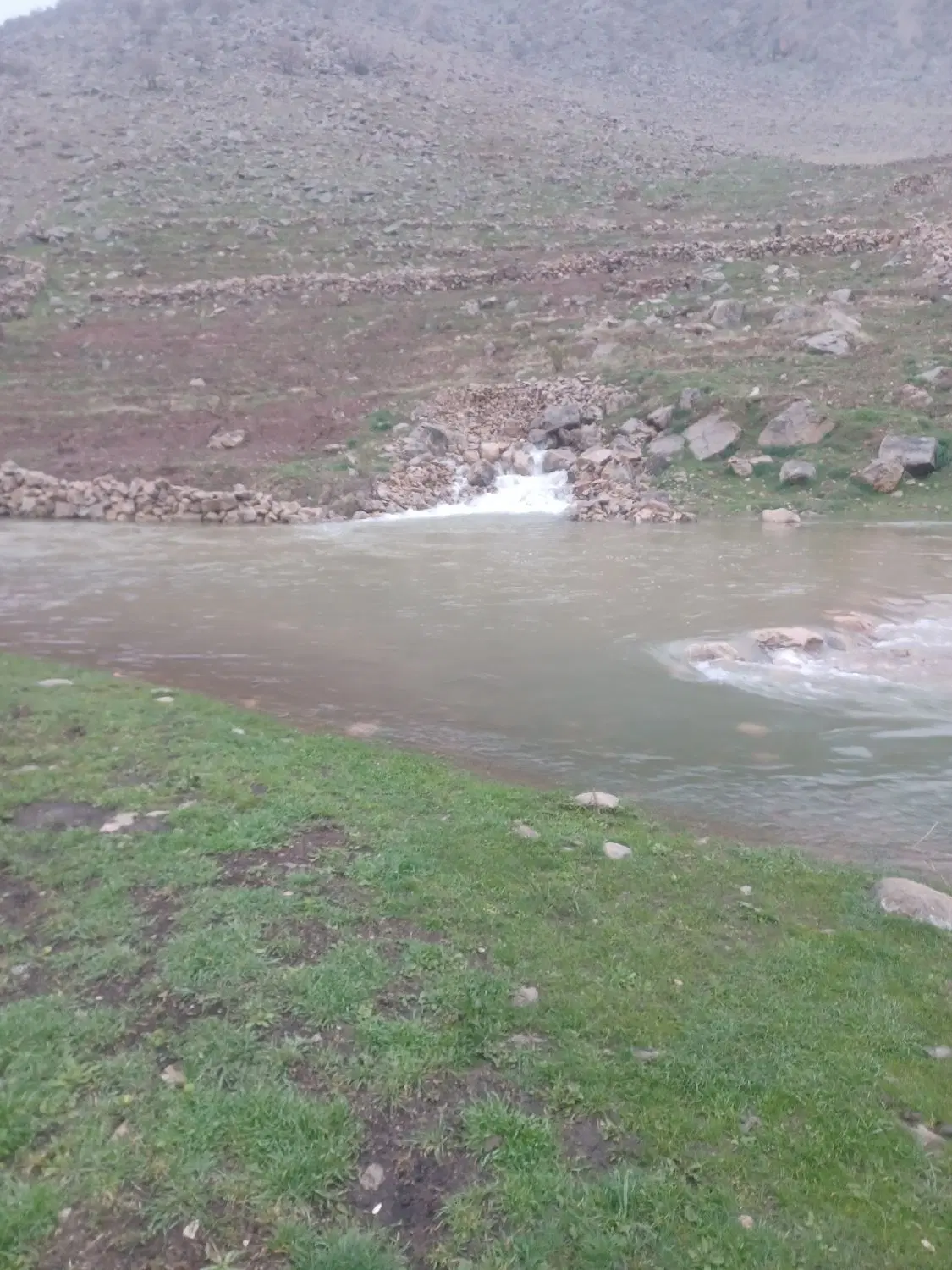خرید و فروش و مشاوره در زمینه ملک کشاورزی روانسر