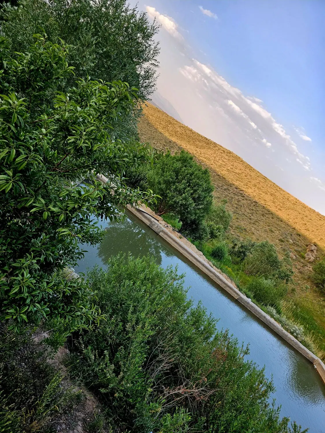 فروش باغ ویلا