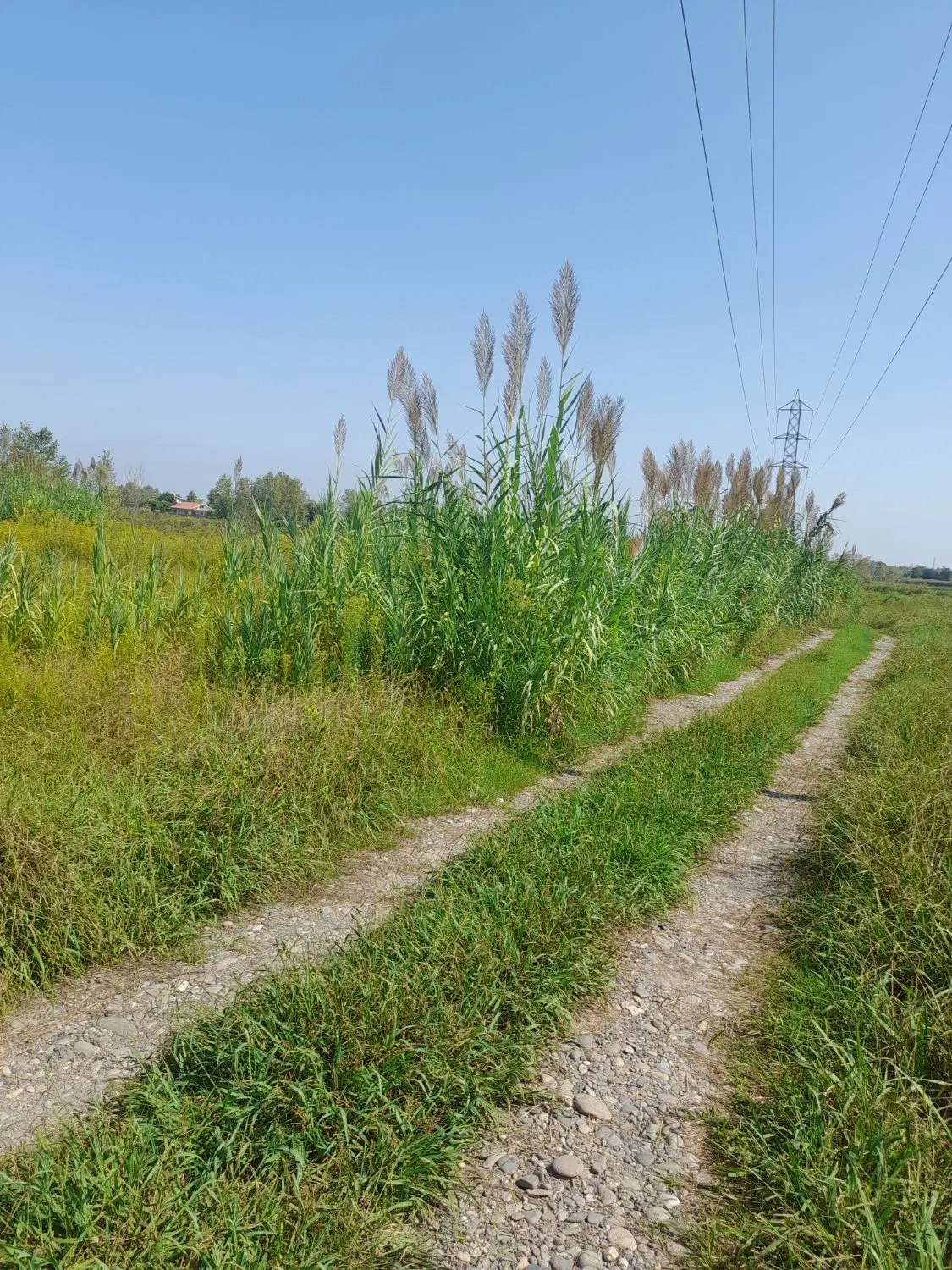 ۲۰۵ متر زمین باغی