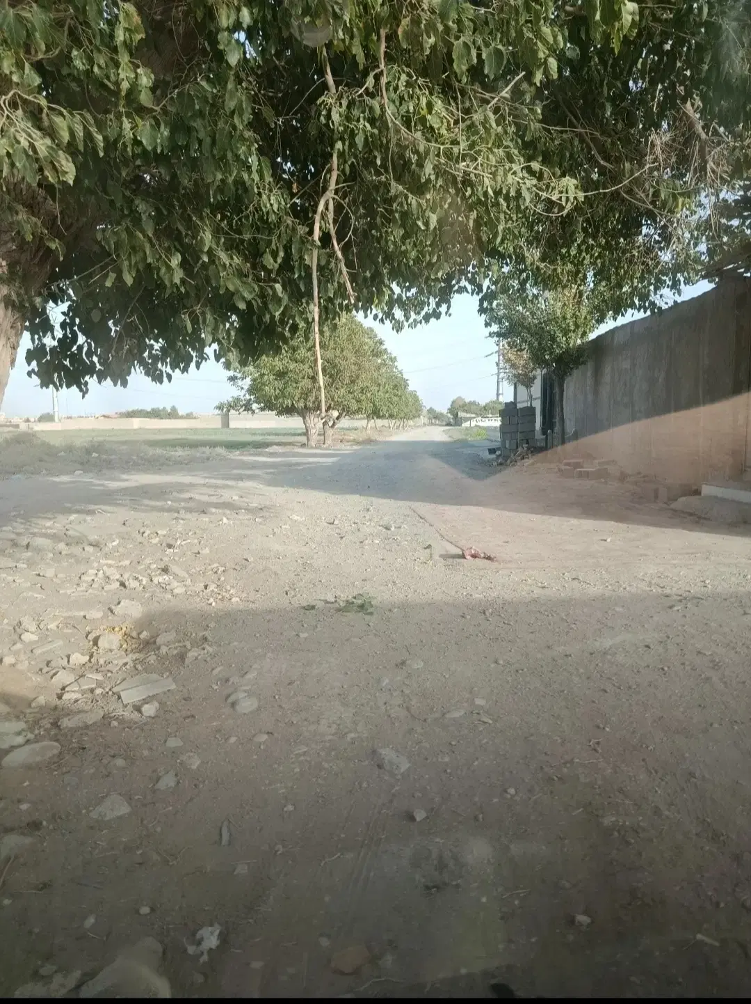 هزار متر زمین