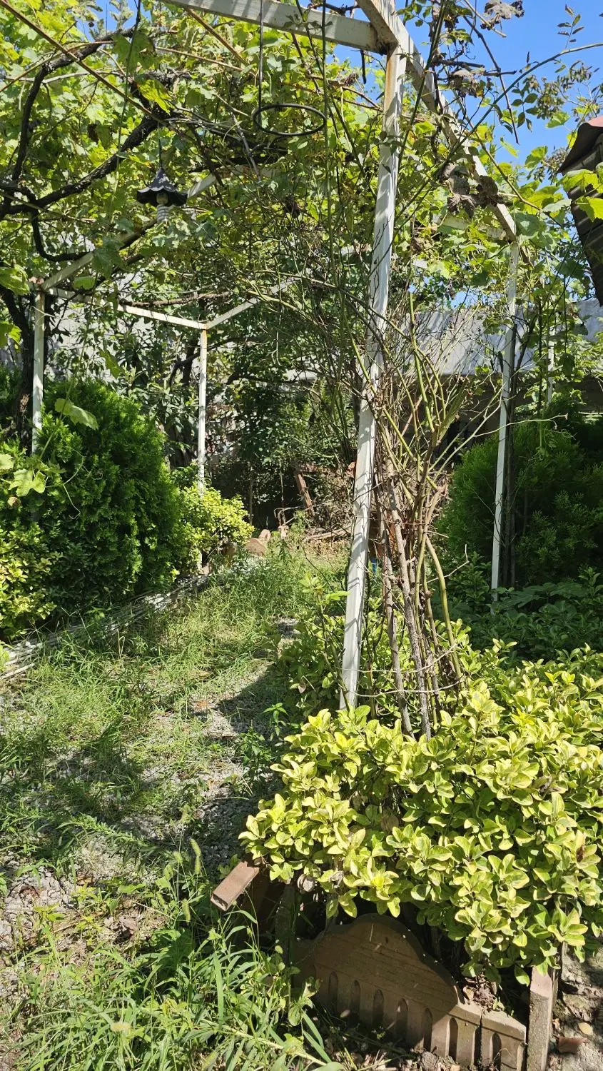 زمین سند دار چمستان