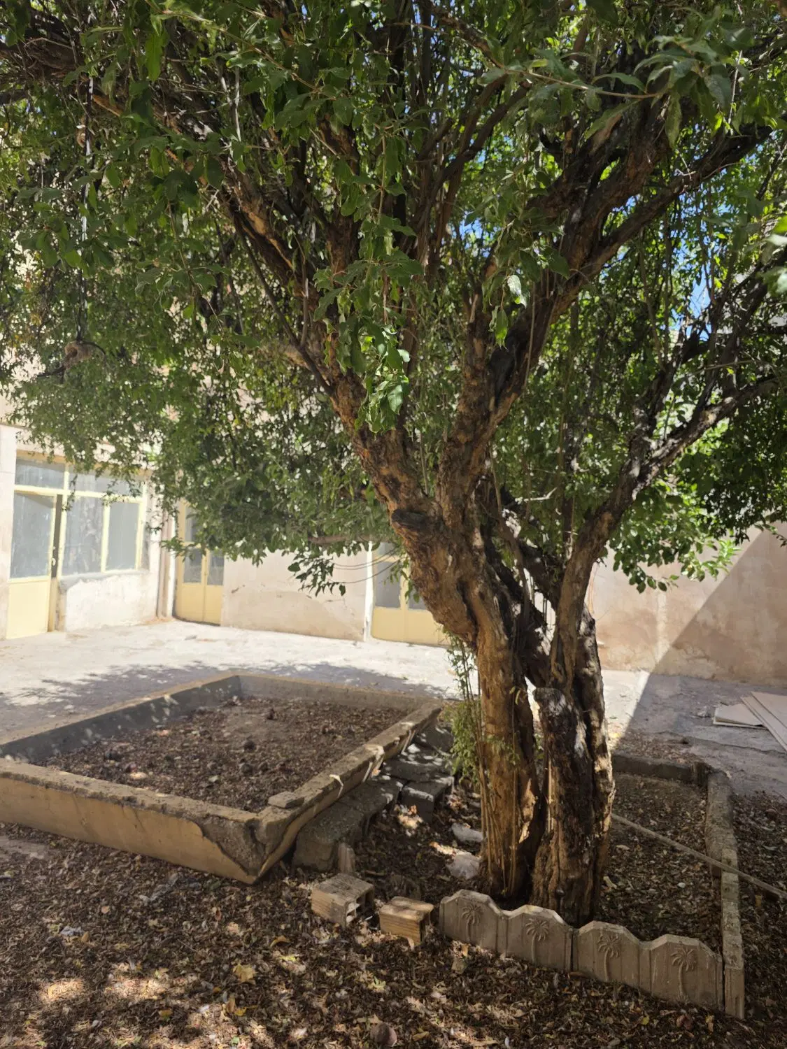 خانه قدیمی