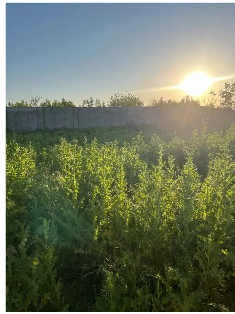 فروش زمین لمسک