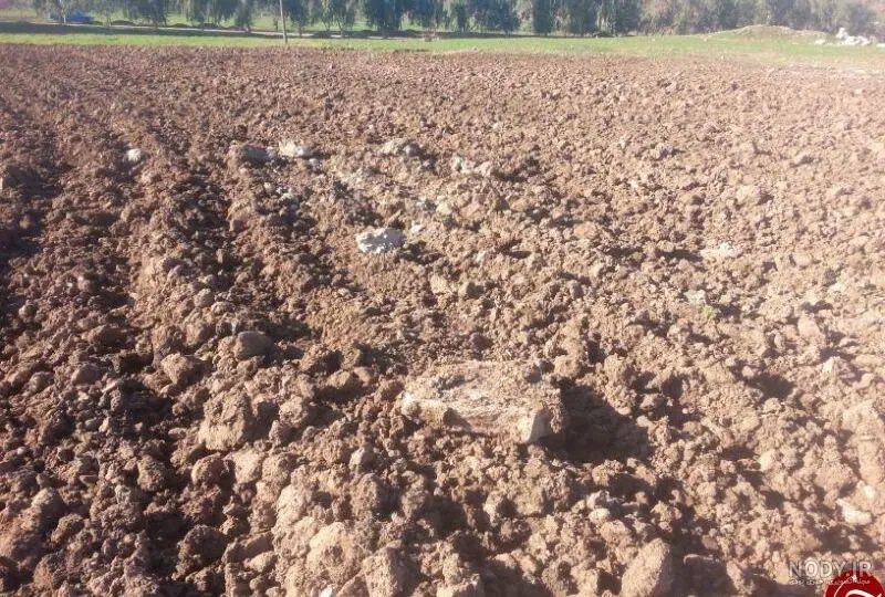زمین بایر زراعی اجاره