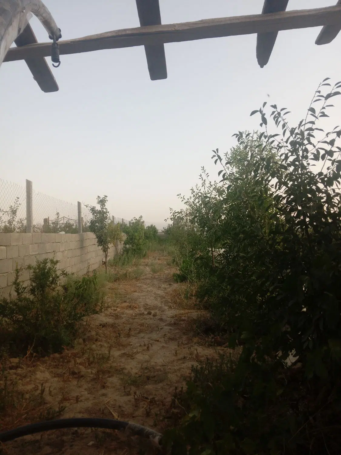 باغچه ۵۲۰متری