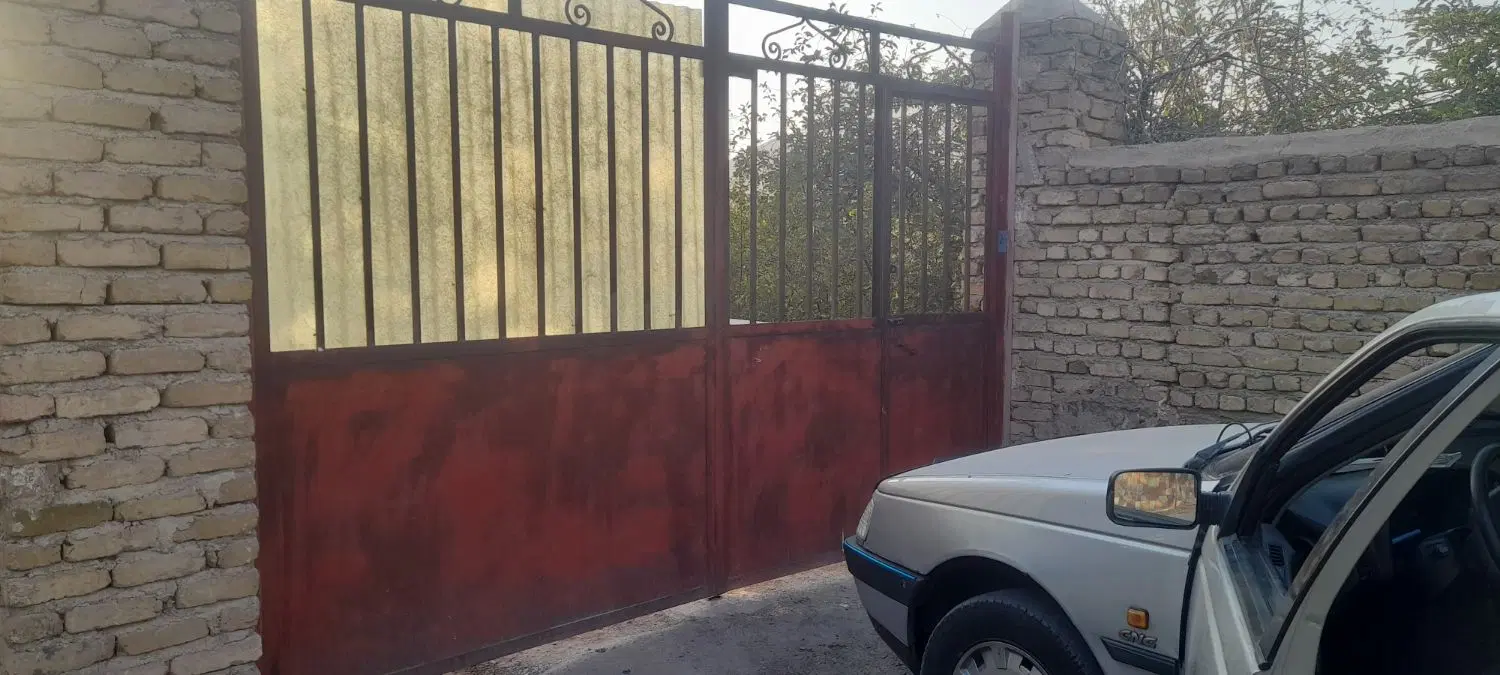 همچی از خاک در میاد حتی پول