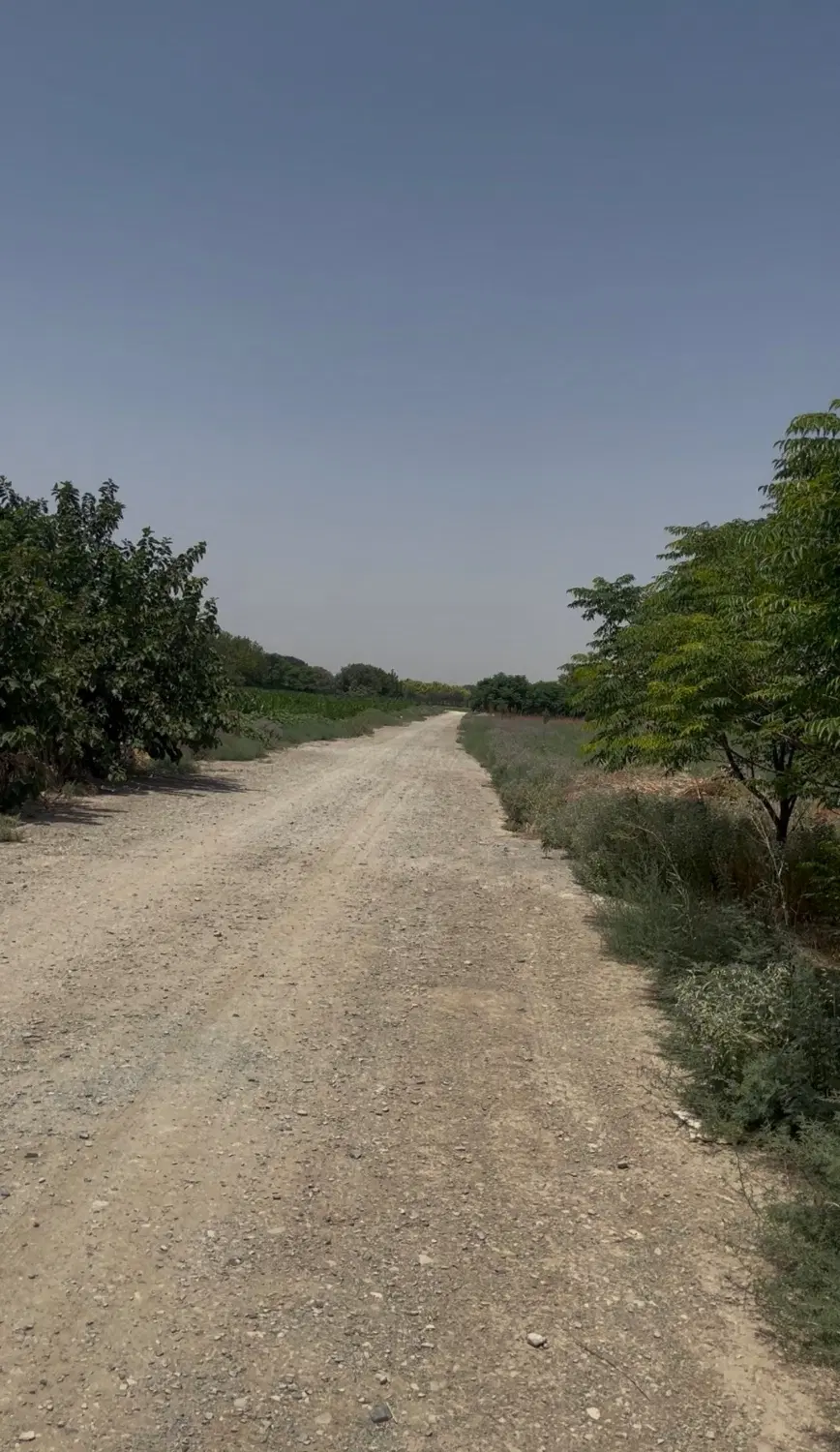 از۵۰۰ متر تا ۲۰۰۰متر زمین ،باغچه سند دار قیصر آباد