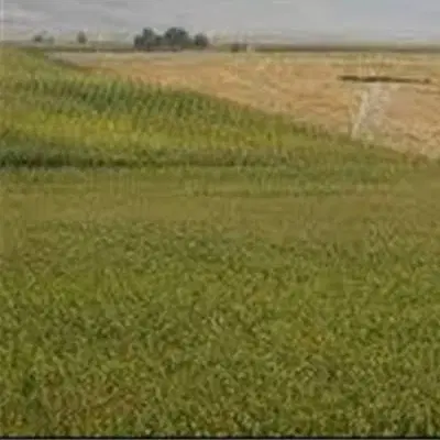 فروش زمین