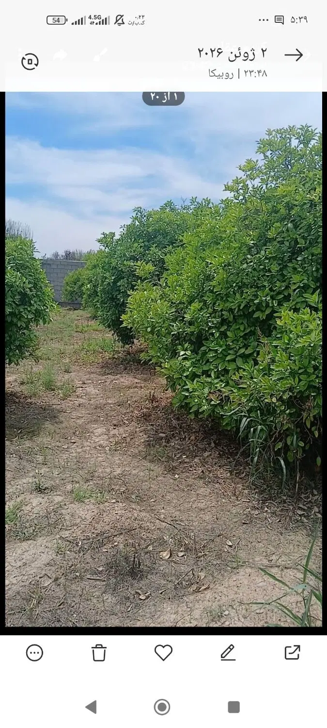 فروش باغچه خوش قواره ۴۰۰متری