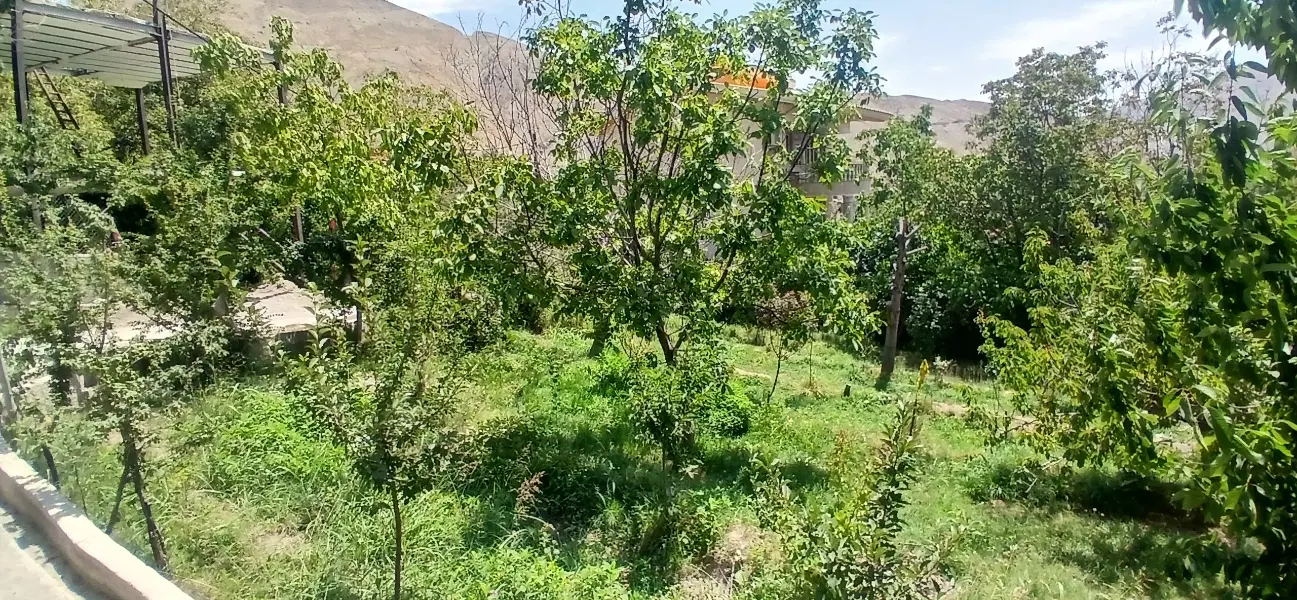 باغو زمین