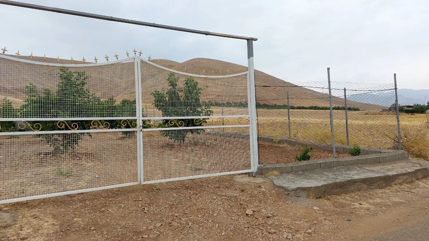 باغ