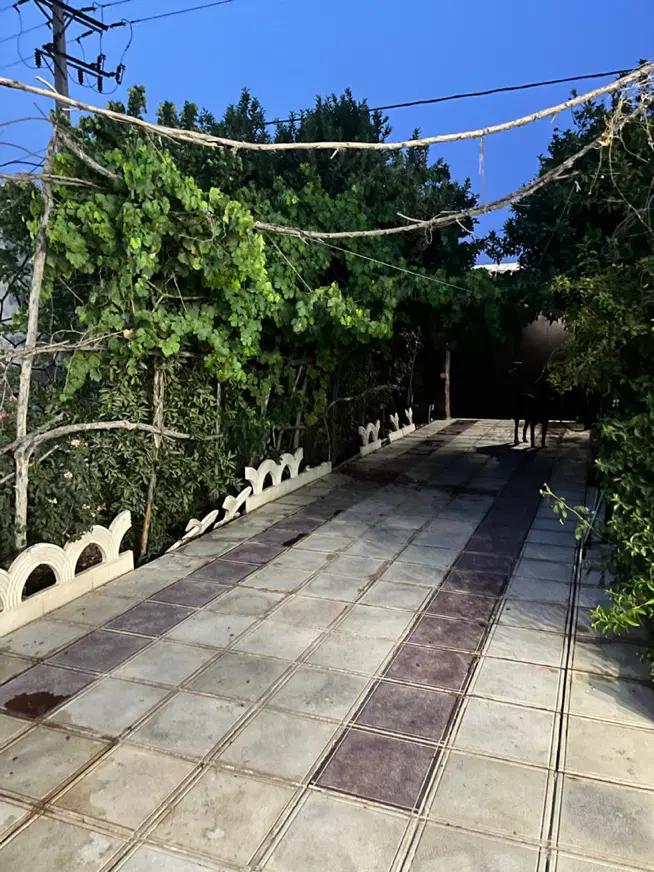 باغچه۶۳۰ متر ویلایی