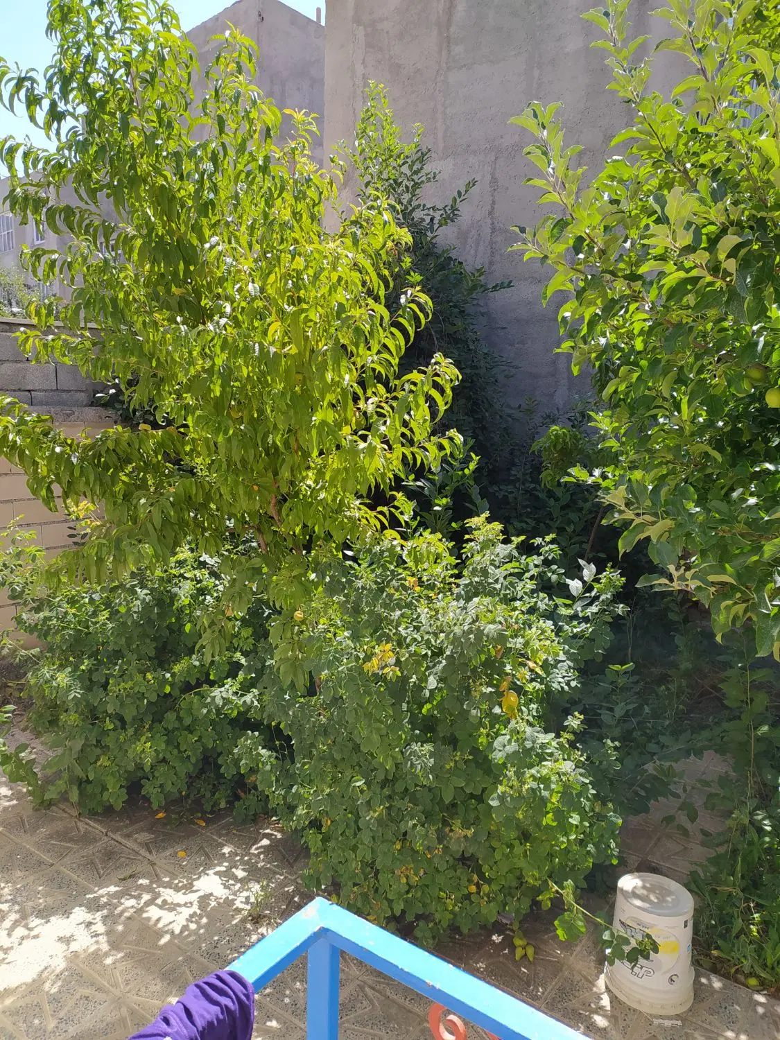 رهن و اجاره خانه ویلایی در آزادگان