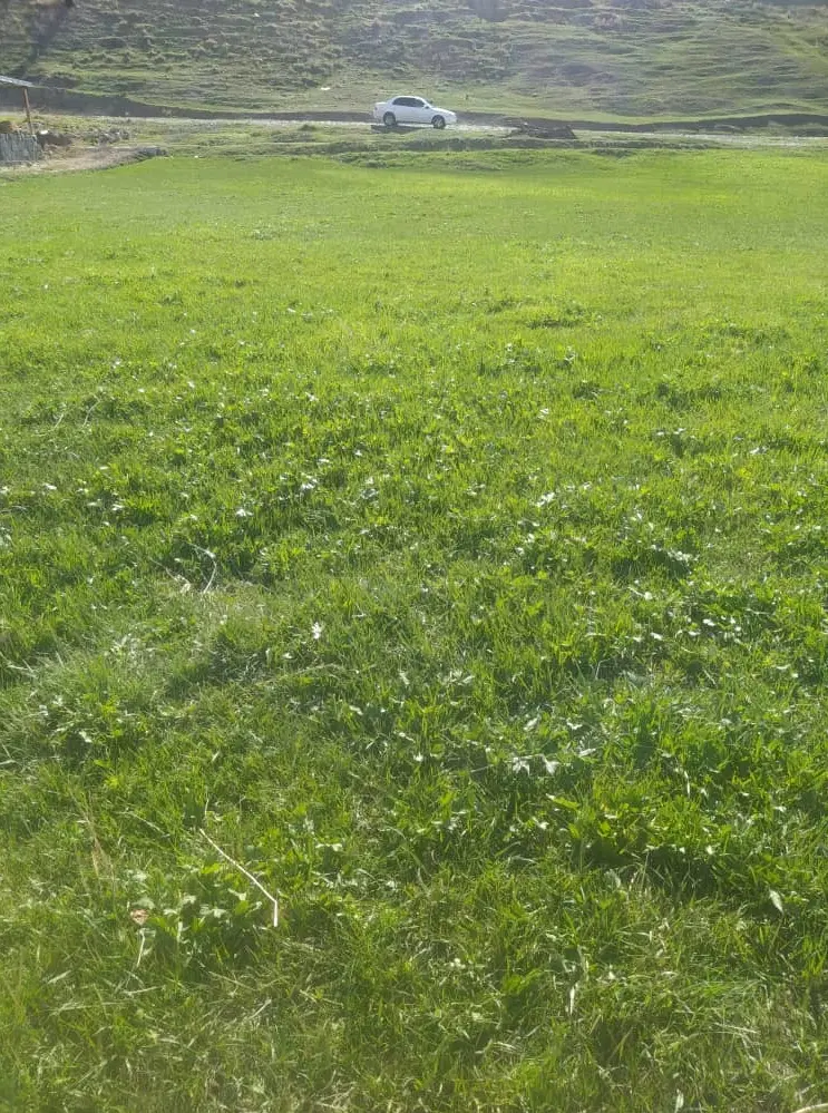 زمین ویلایی