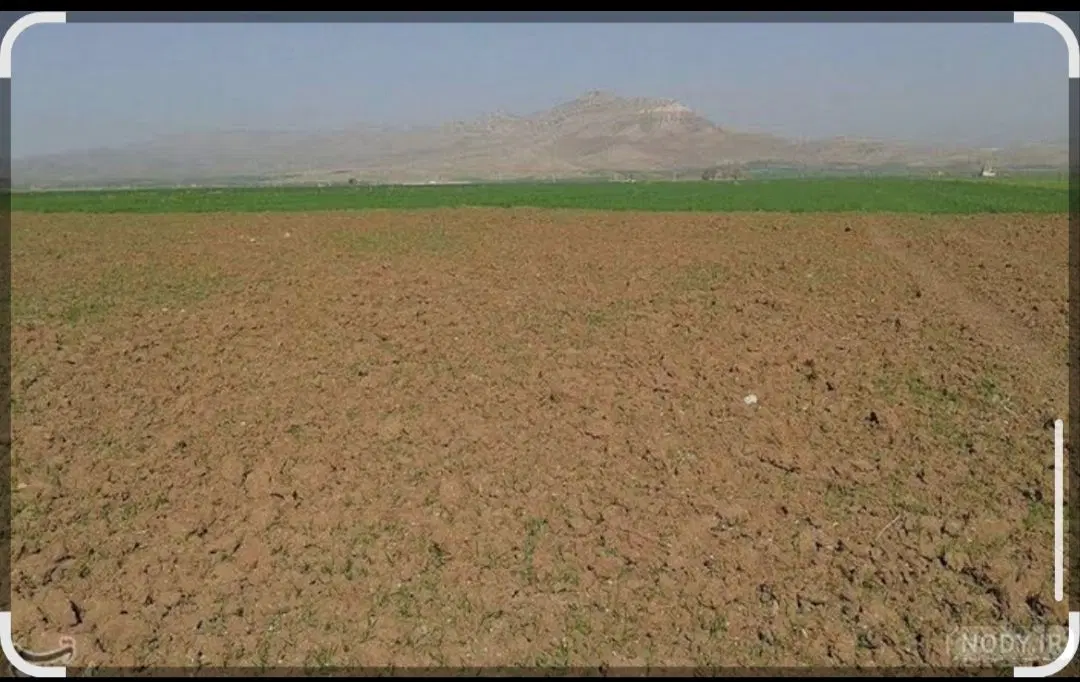 زمین