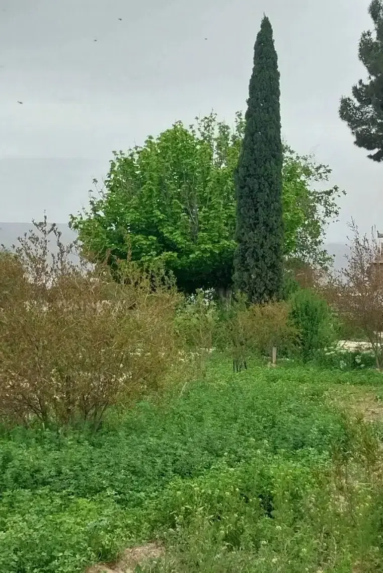 زمین با کاربری باغ ویلا، باغ شهری گلخانه و...