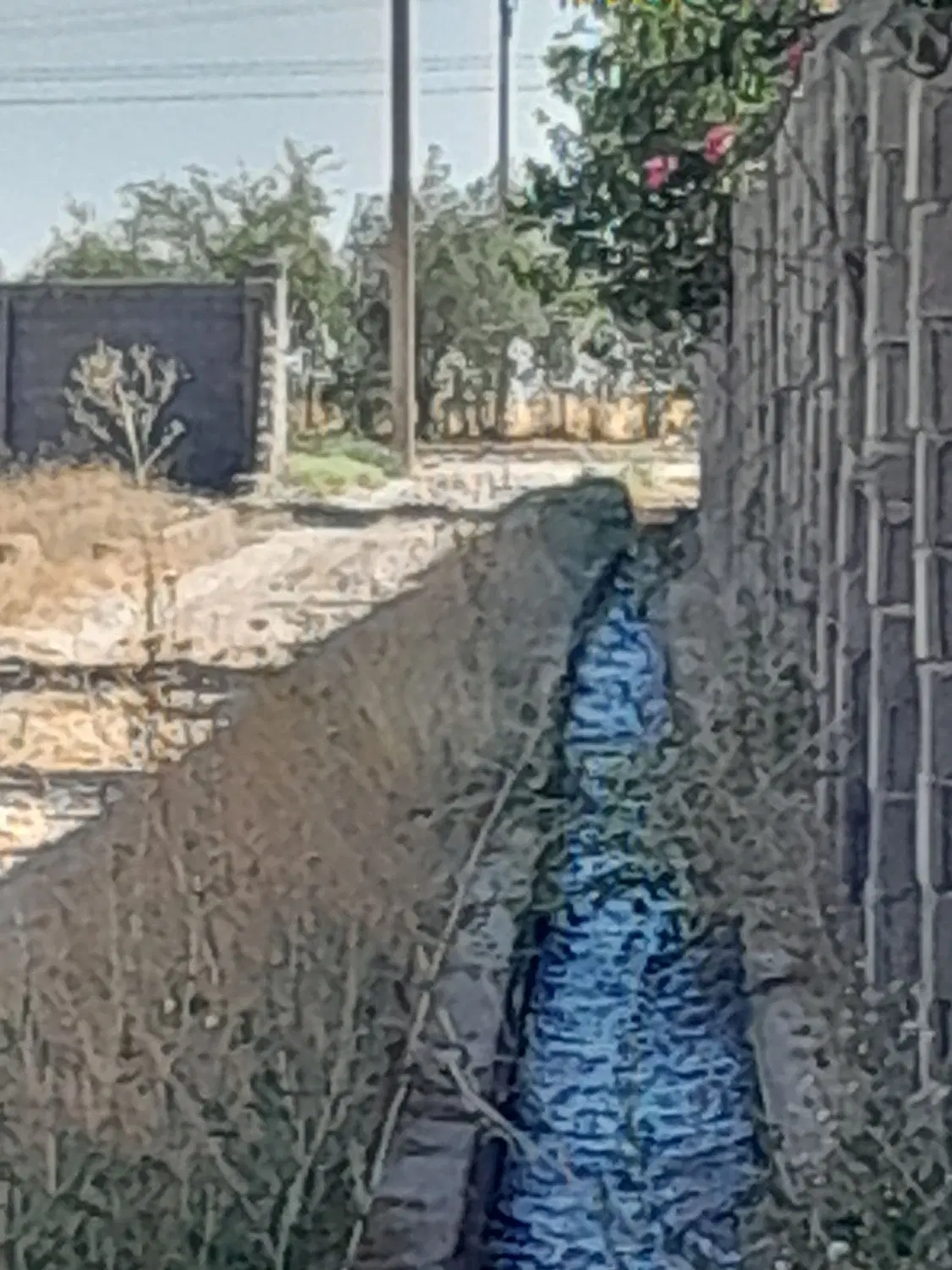 یک قطعه زمین باغچه به متراژ ۱۳۵۰ متر برای فروش