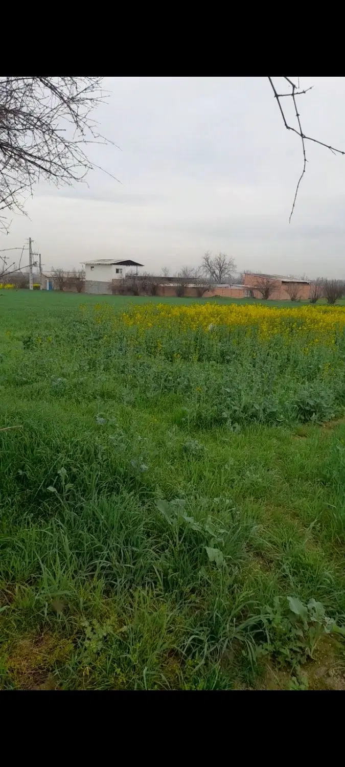 ۱۲۶۰متر زمین معاوضه هم انجام میشود