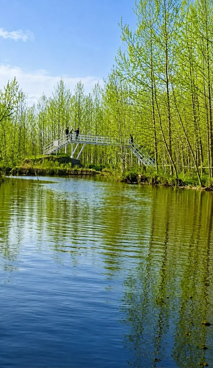 هر روز بوی چوب صدای پرنده آرامش جنگل رو تجربه کنید